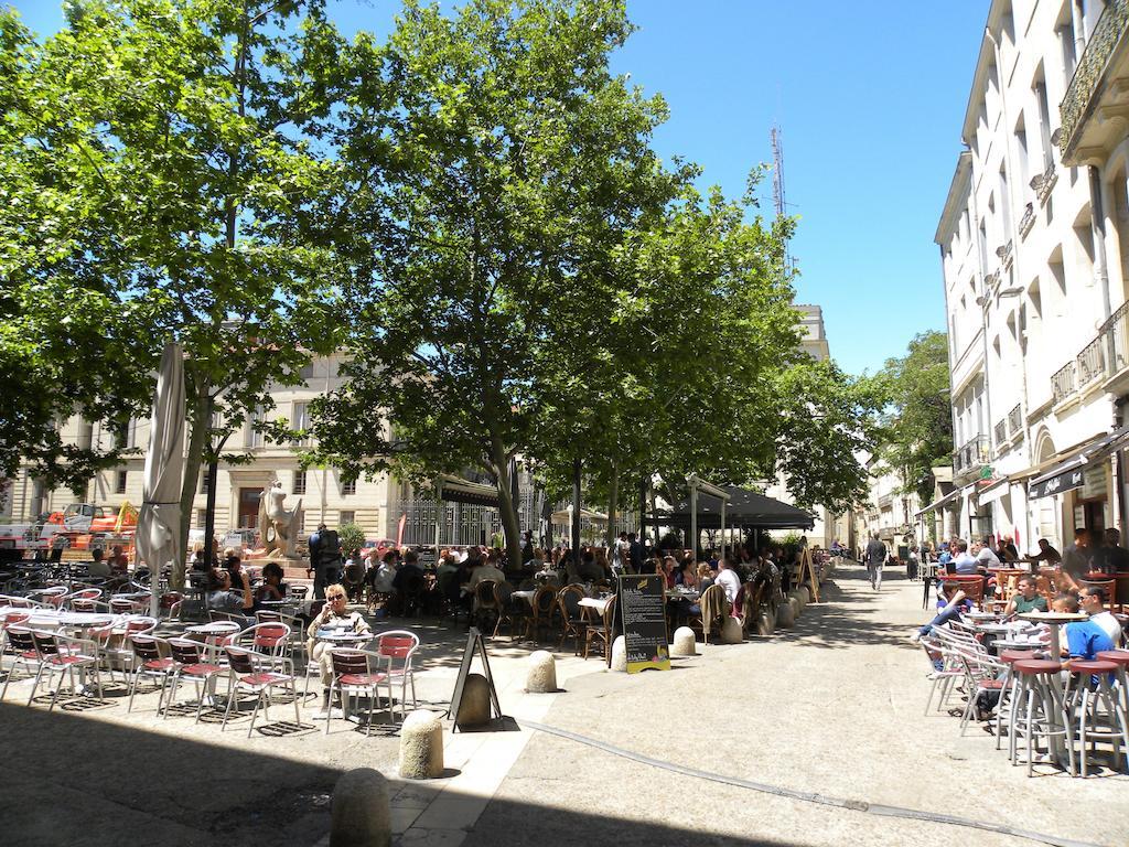 La Terrasse Du Marche Aux Fleurs Apartment มงต์เปอลิเยร์ ภายนอก รูปภาพ